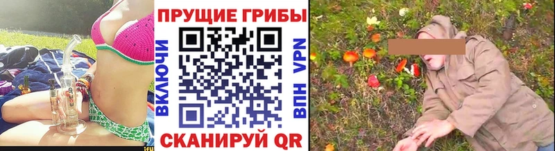 Псилоцибиновые грибы Psilocybe  где можно купить   Сертолово 
